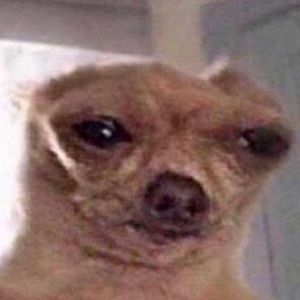 Meet your Posher, Kaela